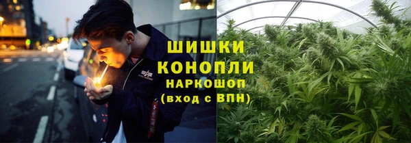 спайс Белокуриха
