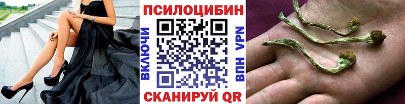 Галлюциногенные грибы GOLDEN TEACHER  Высоковск 